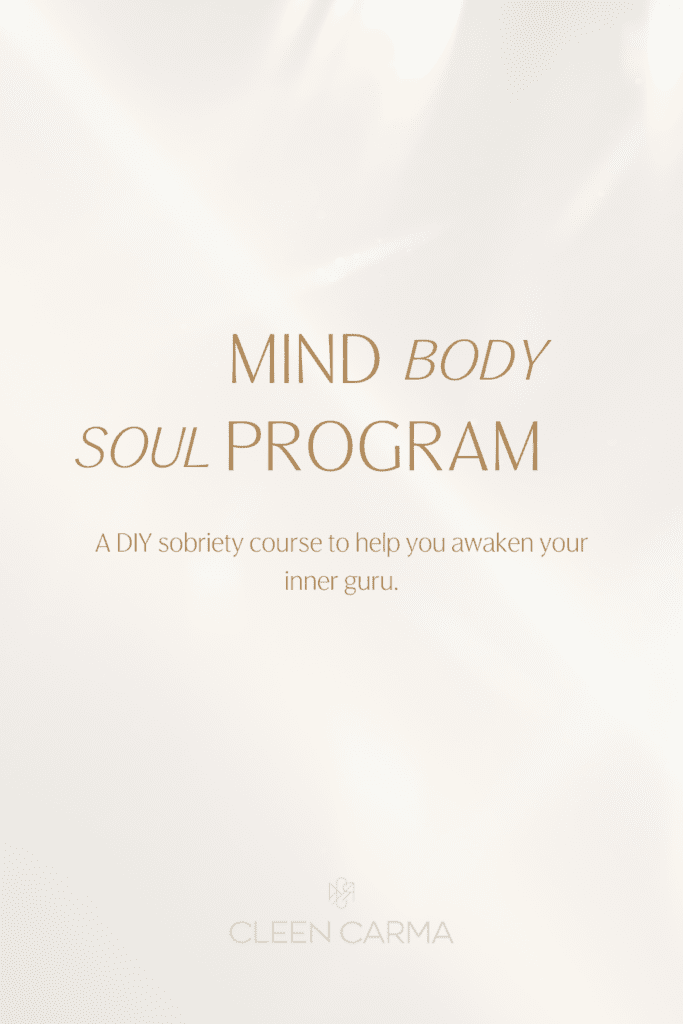 Mind Body Soul Program, Holistic Alcohol Sobriety & Recovery, Quit Drinking At Home