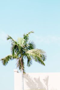 For The Times You Need Some Quick Inspiration In Your Sobriety Journey