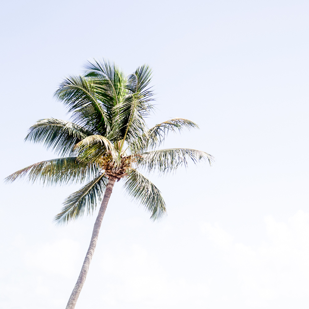 Try This Deep Breathing Technique To Detox In Sobriety