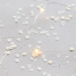 The 2024 Version Of Cleen Carma 