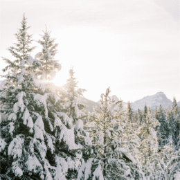 Finding Forgiveness From Toxic Relationships When You’re Sober