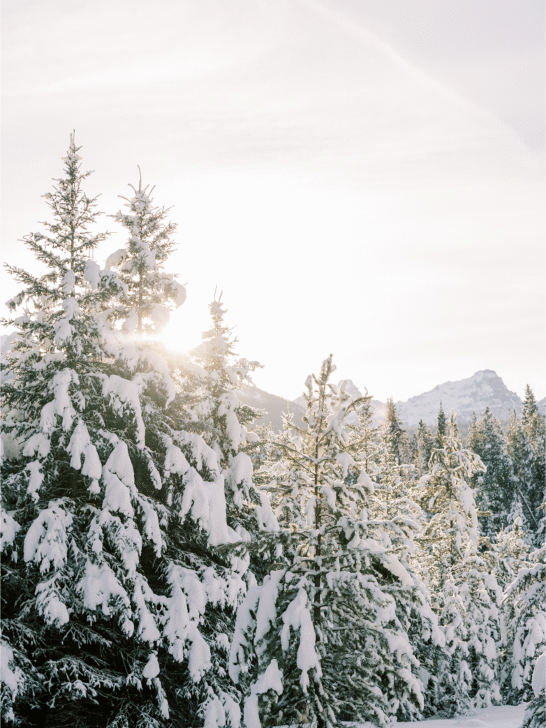 Finding Freedom From Your Shadows When You’re Sober