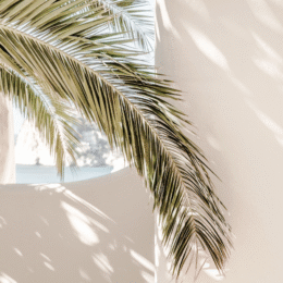 How I (Unknowingly) Harmonized My Mind Body Soul Connection When I Got Sober