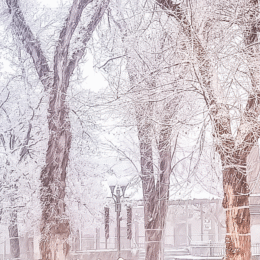 Yearly Reflections And The Hope Of What’s To Come