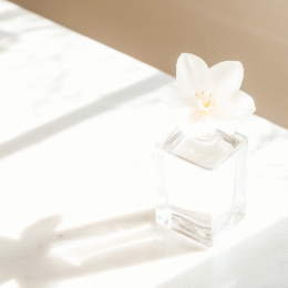 Embracing The Solitude In Sobriety