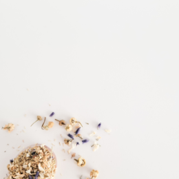 If You Don’t Know How To Navigate Sobriety, Start Here